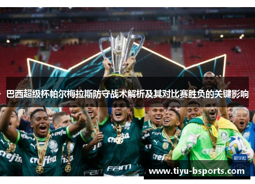 巴西超级杯帕尔梅拉斯防守战术解析及其对比赛胜负的关键影响