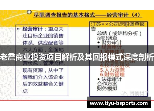 老詹商业投资项目解析及其回报模式深度剖析