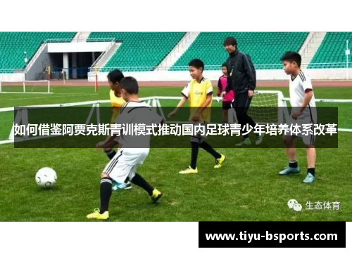 如何借鉴阿贾克斯青训模式推动国内足球青少年培养体系改革