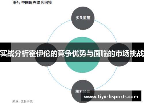 实战分析霍伊伦的竞争优势与面临的市场挑战