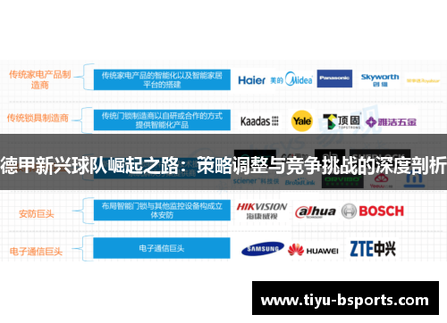 德甲新兴球队崛起之路：策略调整与竞争挑战的深度剖析