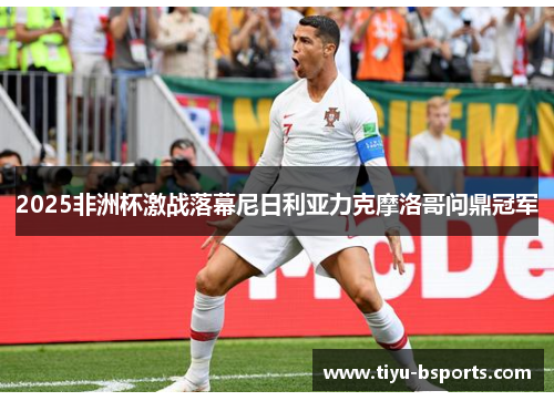 2025非洲杯激战落幕尼日利亚力克摩洛哥问鼎冠军